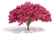 3d tree render on white background
