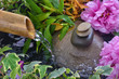 Feng Shui - Galets Zen Feng Shui - Galets Zen