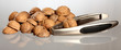 Walnut's nutshell and metal nutcracker