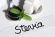 Foto: Stevia Süßkraut Heilpflanze natürlicher Süßstoff Stevia Süßkraut Heilpflanze natürlicher Süßstoff