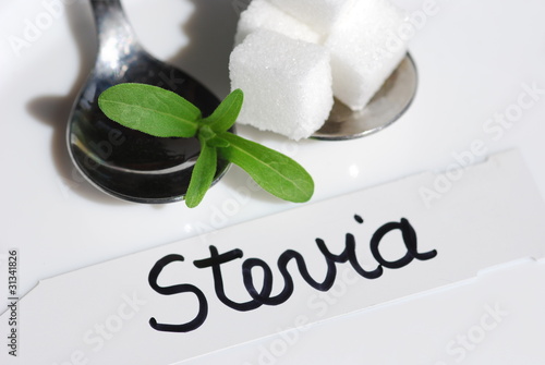 Photo: Stevia Süßkraut Heilpflanze natürlicher Süßstoff Stevia Süßkraut Heilpflanze natürlicher Süßstoff