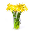 Daffodils bouquet