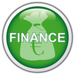 FINANCE ICON