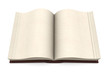 Antikes Buch