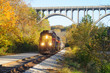 Train approaching with high arched bridge in background