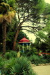 Photo: gazebo in the garden gazebo in the garden
