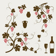 Grape vines, wineglasses and decorative elements set.
