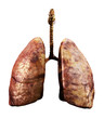 rotten lungs
