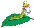 Happy Caterpillar On A Leaf Happy Caterpillar On A Leaf