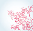 background with sakura flowers background with sakura flowers