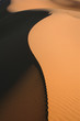 Sahara Desert