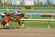 Foto: Striving for the Finish Striving for the Finish