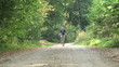bicyclist in the forest