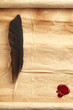 Foto: Quill on blank paper Quill on blank paper