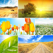Summer collage Summer collage
