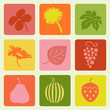 Nature pictures set. Vector illustration.