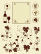 Grape vines and winery object silhouettes. Vector illustration.