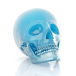 Illustration: skull skull