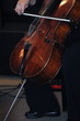 classical music bass instrument player classical music bass instrument player