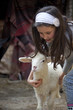 baby lamb