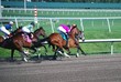 Racing Into the First Turn