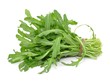 Bund, Rucola