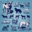 dogs vintage set (vector)