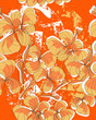seamless pattern