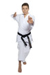 Karateka