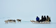Dog sledging trip in cold snowy winter, Greenland Dog sledging trip in cold snowy winter, Greenland