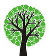 green tree