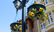 The flower pots in the street in Eyup, Istanbul. The flower pots in the street in Eyup, Istanbul.