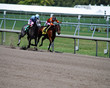 Foto: Stretch Duel Stretch Duel