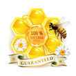 Bee with honeycombs and quality seal isolated on white