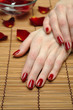 Beautiful hand with perfect nail red manicure and rose petals.