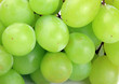 Grapes isolated on white