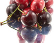 cerises