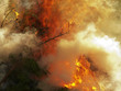 bon fire