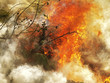 bon fire