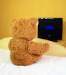 ours brun regardant la télé