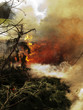bon fire