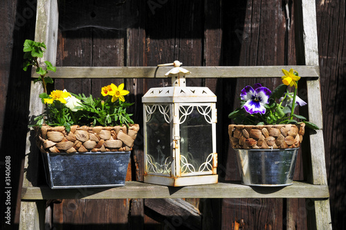 Photo: Pflanzen und Laterne Pflanzen und Laterne