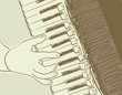 accordion sketch