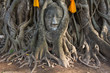 Head of The Sand Stone Buddha Image Head of The Sand Stone Buddha Image