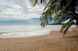 Palm beach
