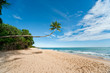 Palm beach