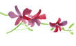 Abstract painted floral background