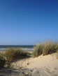Dune