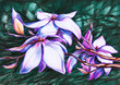 Magnolia-colored pencils