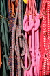 Horse reins